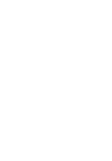 Cannon Equine CE logo